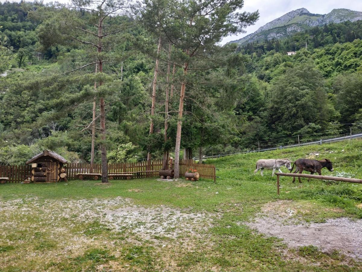 B&B L'Asinello Rampante Arta Terme Exterior foto