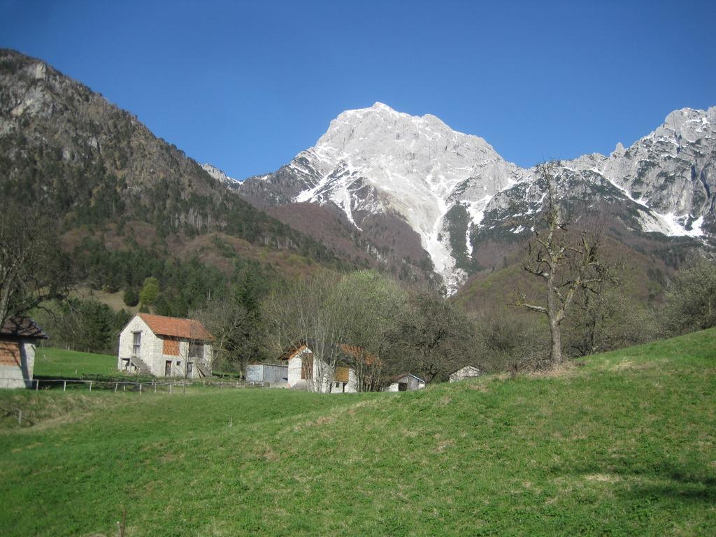 B&B L'Asinello Rampante Arta Terme Exterior foto